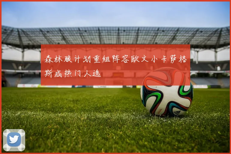 森林狼计划重组阵容欧文小卡萨格斯成热门人选